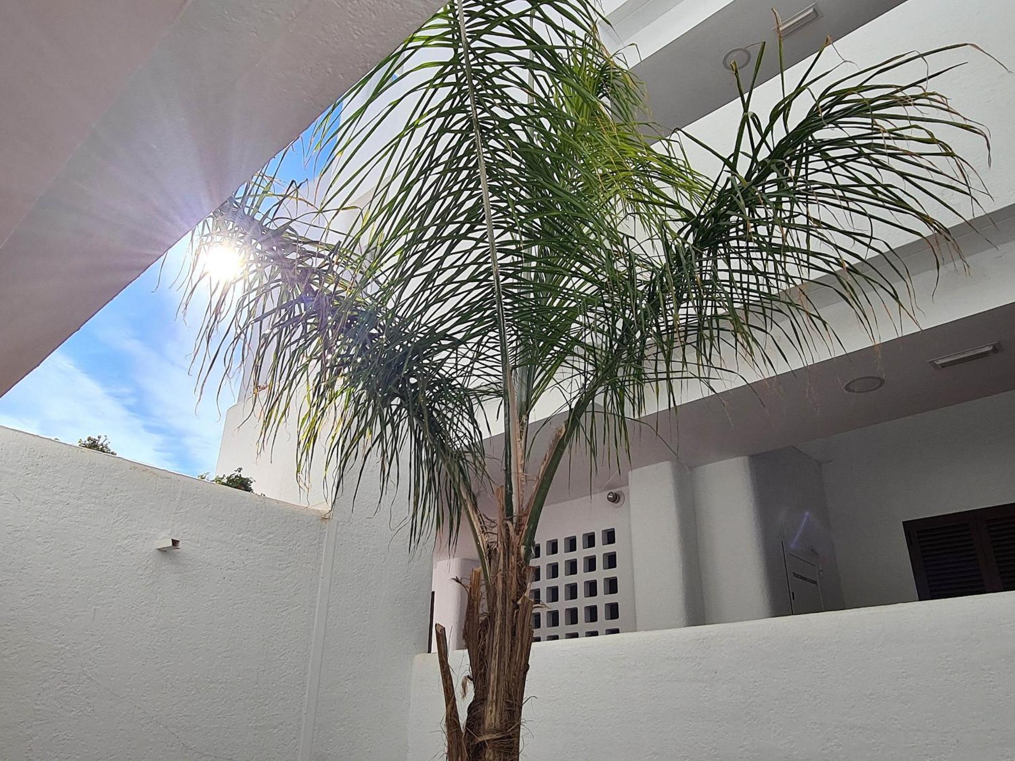 El Sueno Leilighet San Juan de los Terreros Eksteriør bilde